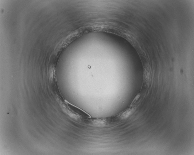 X0000053000574200507291645