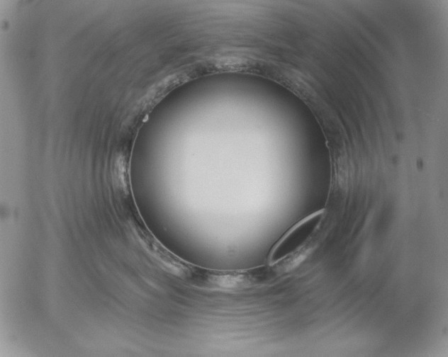 X0000053000575200507291645