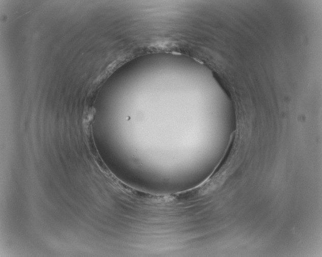 X0000053000576200507291645