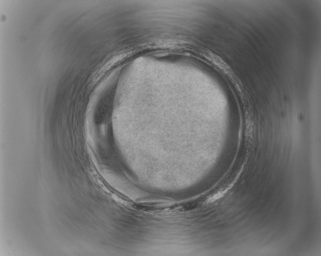 X0000053000577200507291645