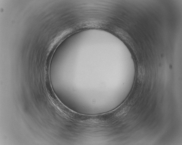 X0000053000578200507291645