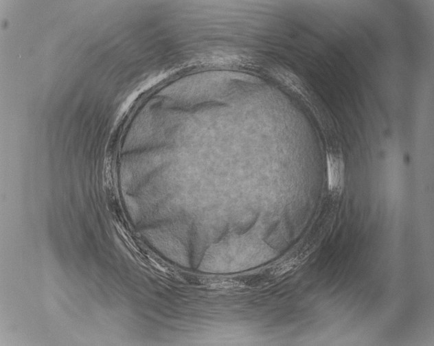 X0000053000579200507291645