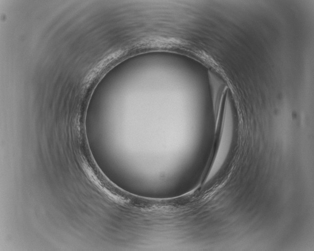 X0000053000581200507291645