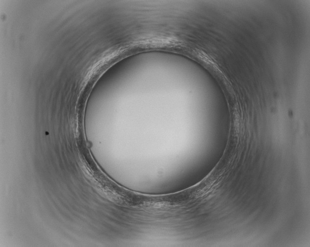 X0000053000582200507291644