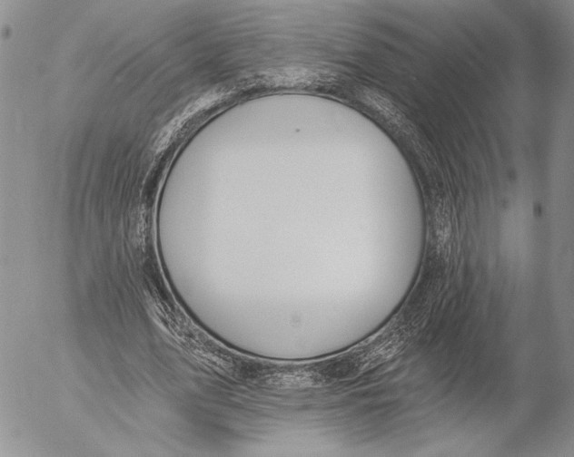 X0000053000583200507291644