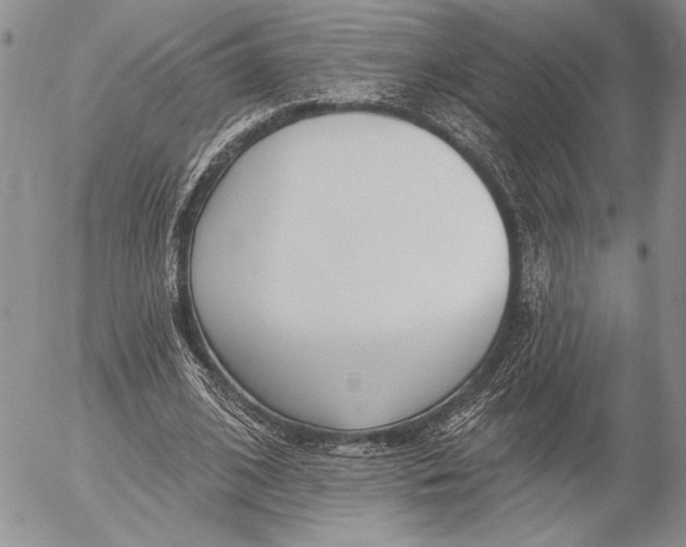 X0000053000584200507291644