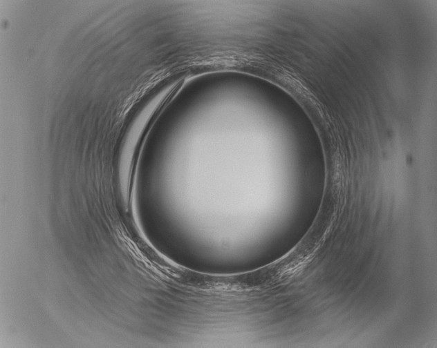 X0000053000585200507291644