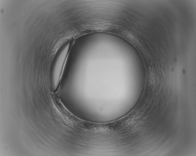 X0000053000586200507291644