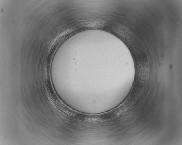 X0000053000587200507291644