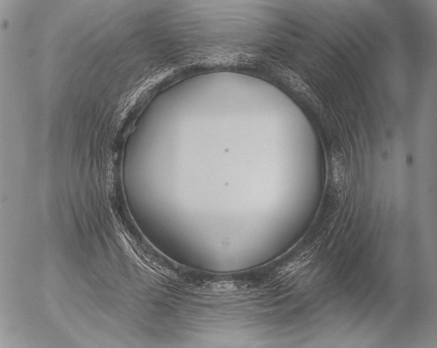 X0000053000588200507291644