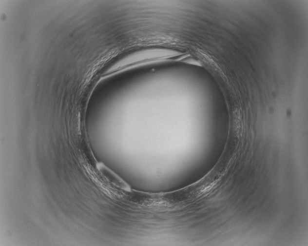 X0000053000589200507291644