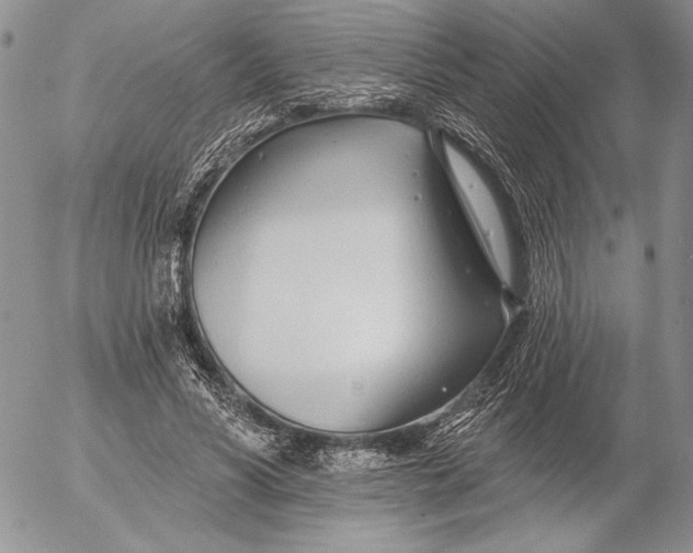 X0000053000590200507291644