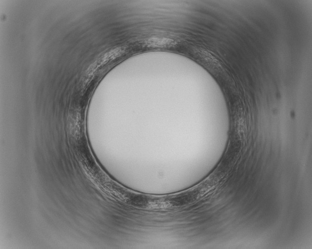 X0000053000591200507291644