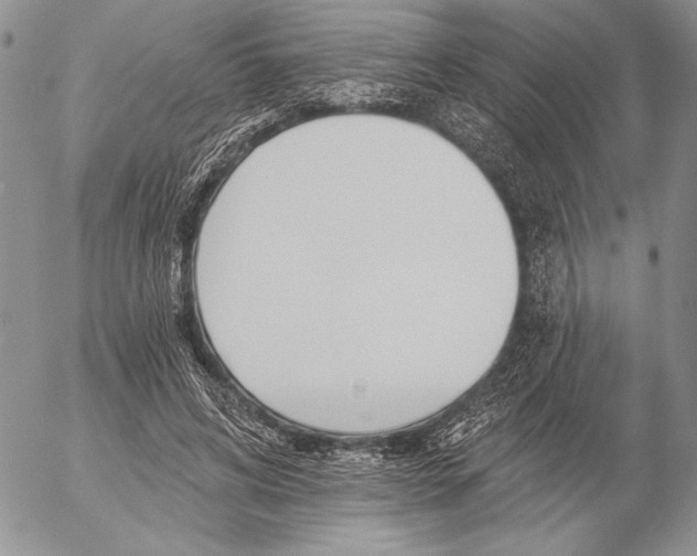 X0000053000592200507291644