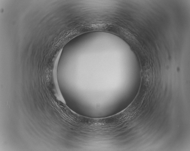 X0000053000593200507291644