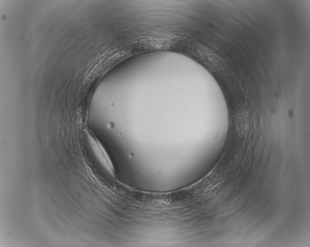 X0000053000594200507291644