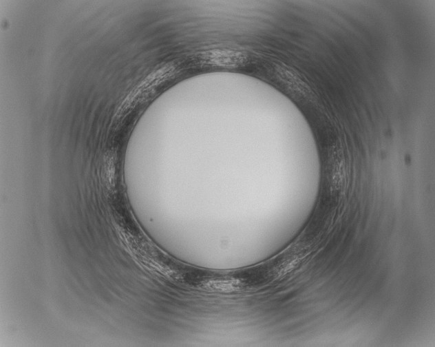 X0000053000595200507291644