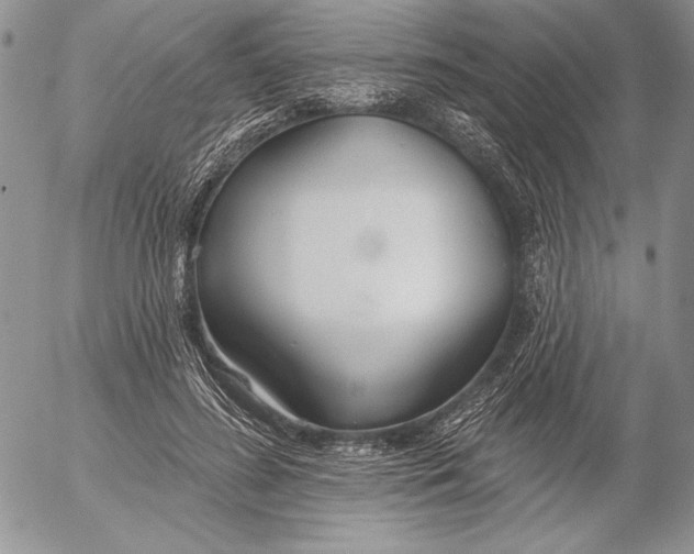 X0000053000596200507291644