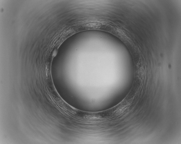 X0000053000597200507291644