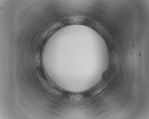 X0000053000599200507291644