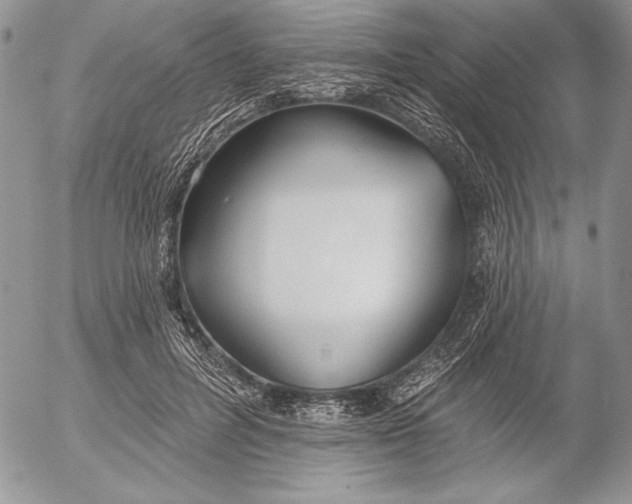 X0000053000600200507291644