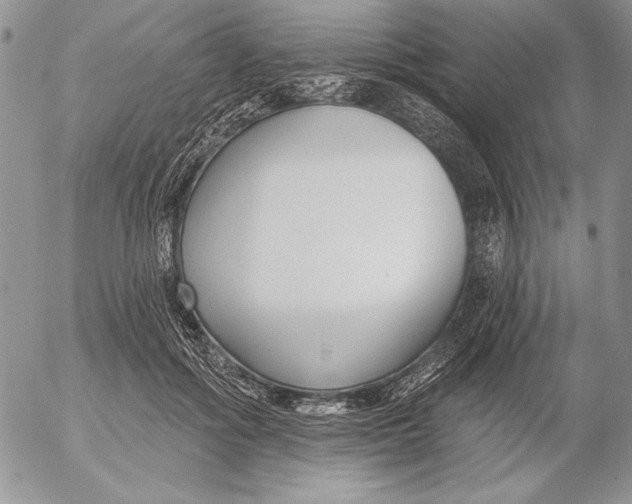 X0000053000602200507291644