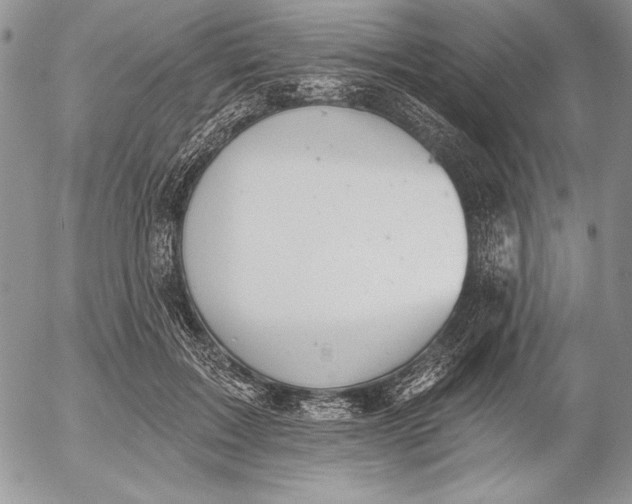 X0000053000603200507291644