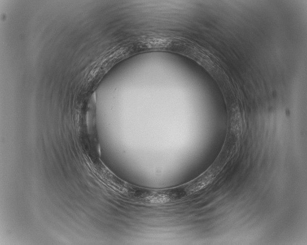 X0000053000604200507291644