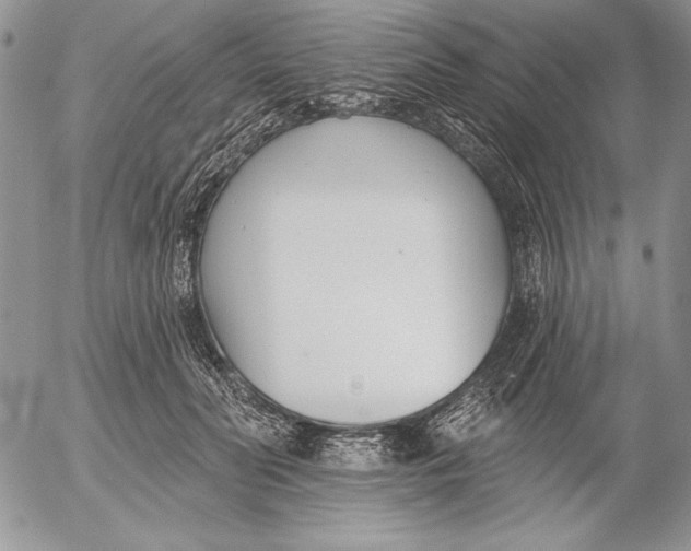 X0000053000606200507291644