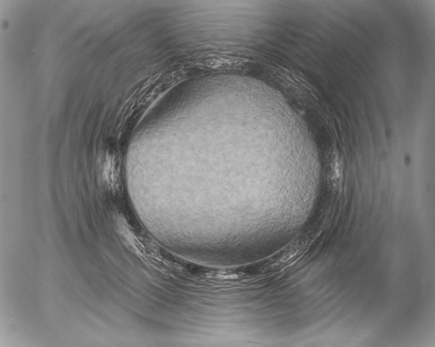 X0000053000607200507291644