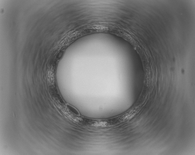 X0000053000609200507291644