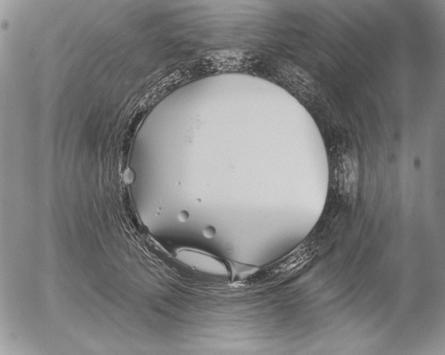 X0000053000610200507291644