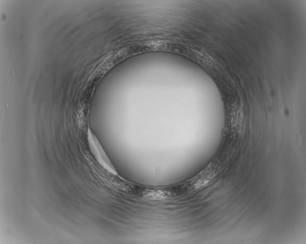 X0000053000611200507291644