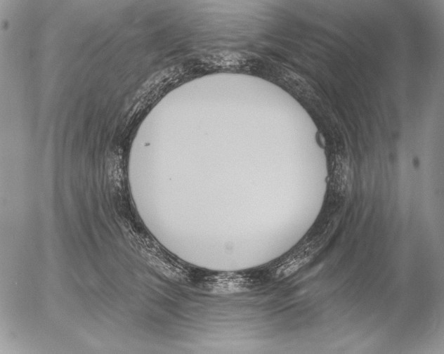 X0000053000612200507291644