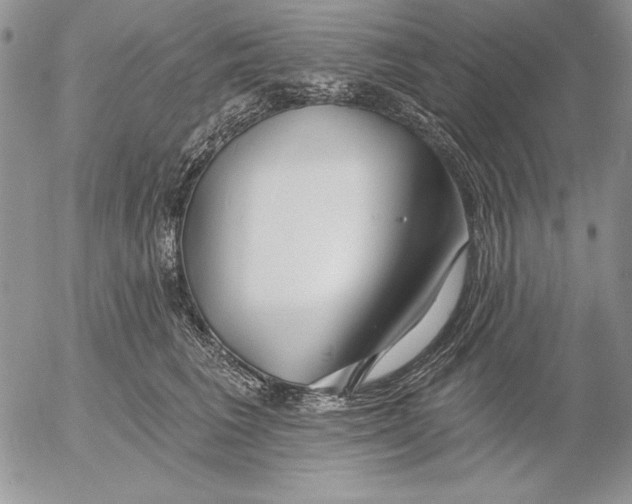 X0000053000613200507291644