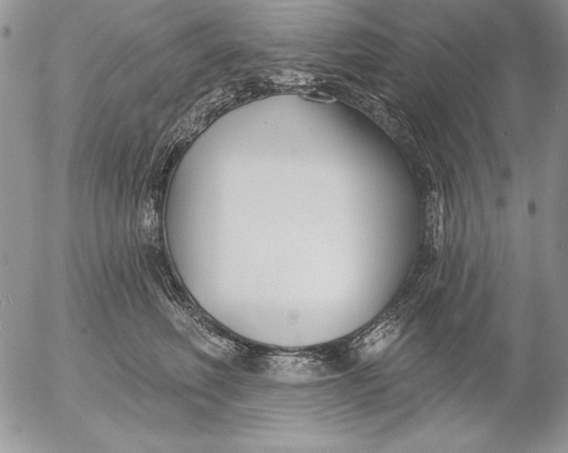 X0000053000614200507291644