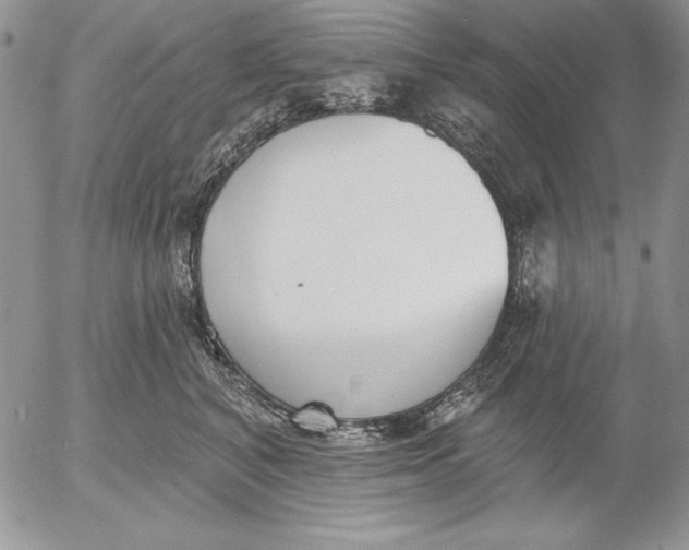 X0000053000616200507291644