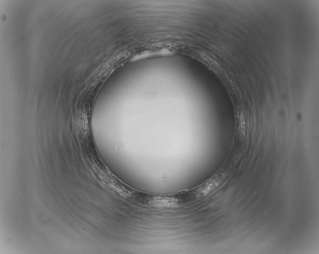 X0000053000617200507291644