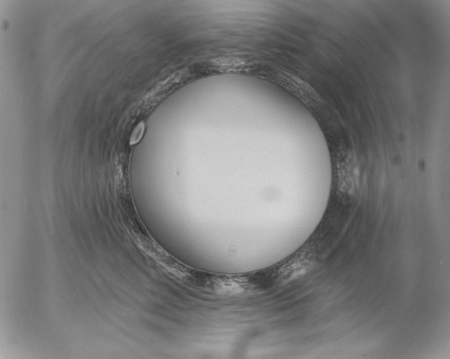 X0000053000618200507291644