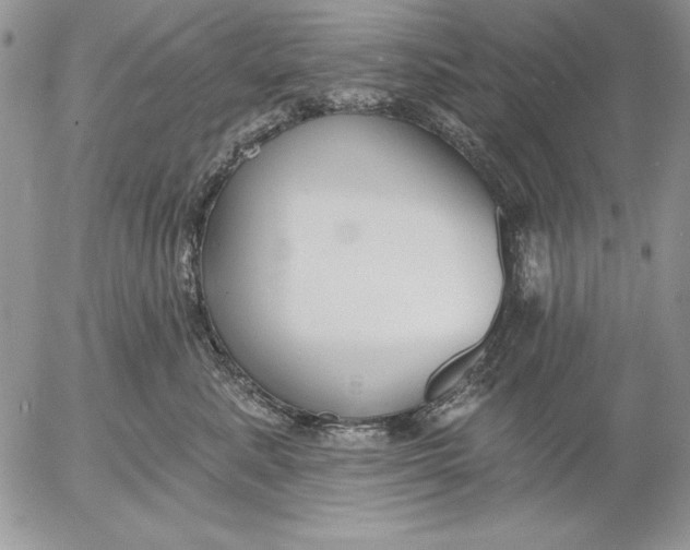 X0000053000619200507291644