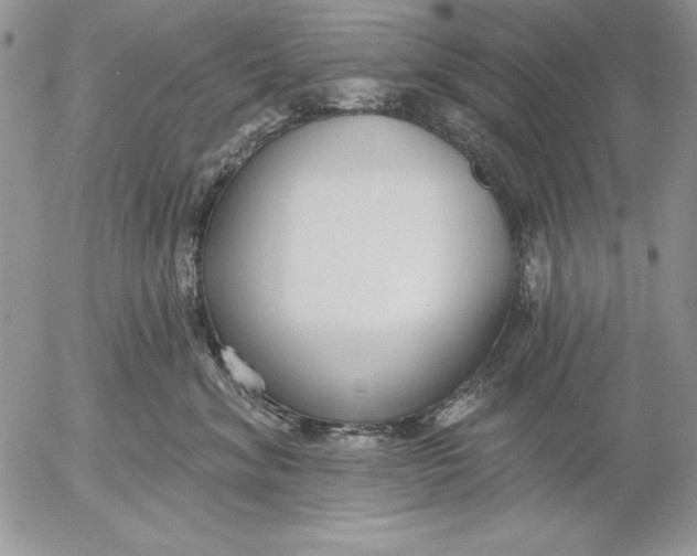 X0000053000620200507291644