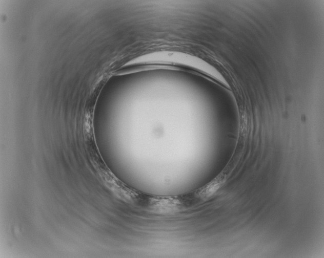 X0000053000621200507291644