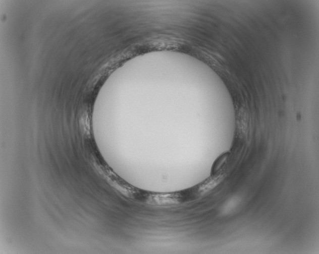 X0000053000622200507291644