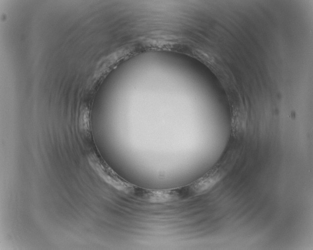 X0000053000623200507291644