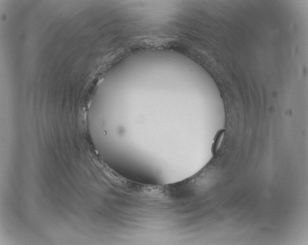 X0000053000624200507291644