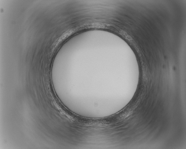 X0000053000625200507291643