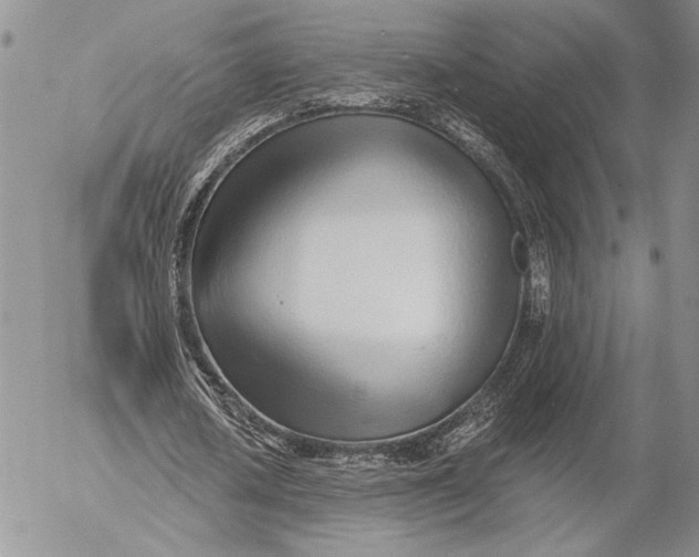 X0000053000626200507291643