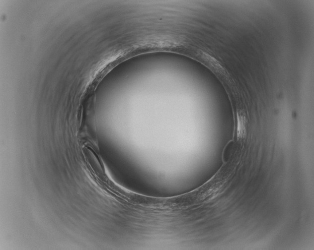 X0000053000627200507291643