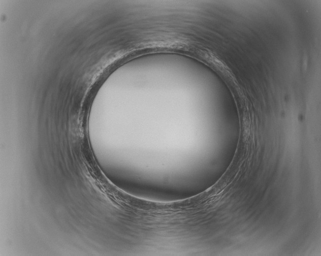 X0000053000628200507291643