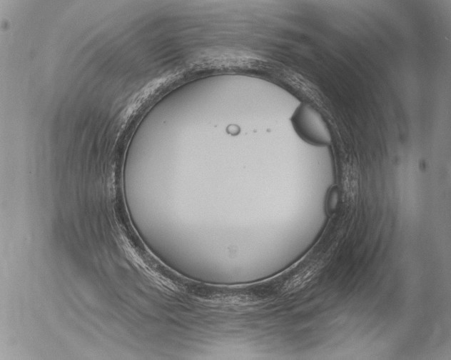 X0000053000629200507291643